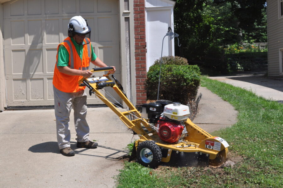 リンゴ工房 リンゴハウスS・レッド（15330） の通販 | 園芸ネット