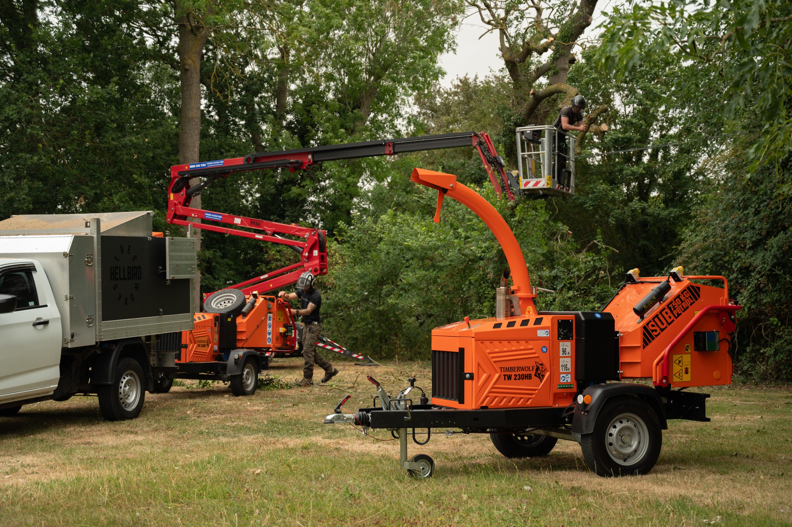Timberwolf TW 230HB