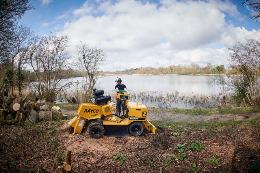 Rayco RG37 stump grinder
